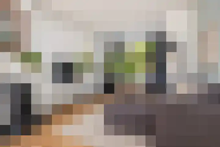 Oude Arnhemseweg 111 Zeist thumbnail 8