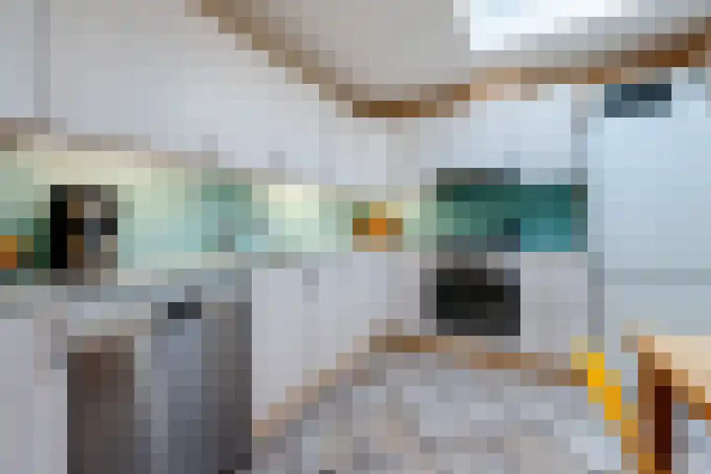 Oude Arnhemseweg 123 Zeist thumbnail 12