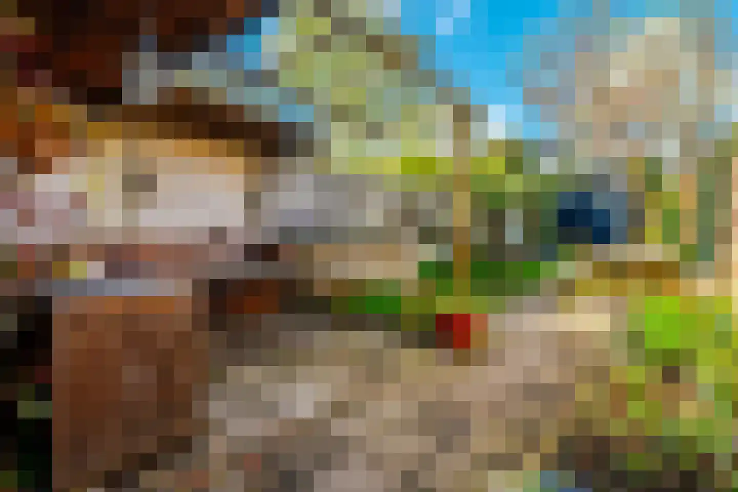 Oude Arnhemseweg 123 Zeist thumbnail 29