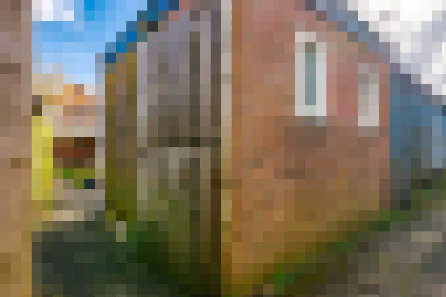 Oude Arnhemseweg 123 Zeist thumbnail 36