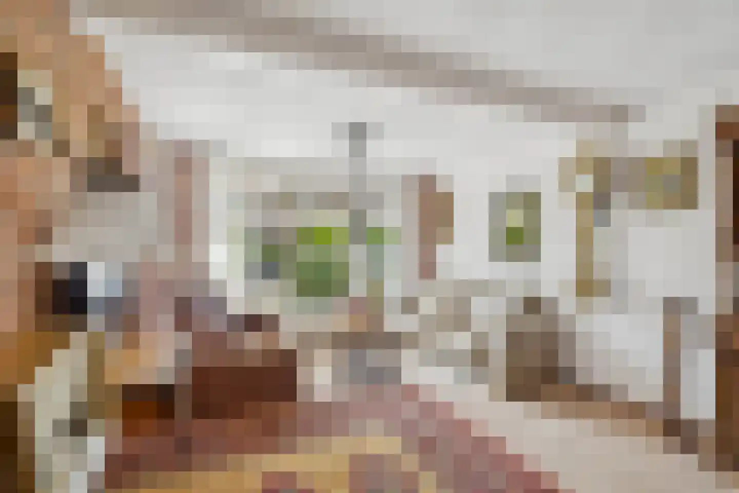Oude Arnhemseweg 154 Zeist thumbnail 10
