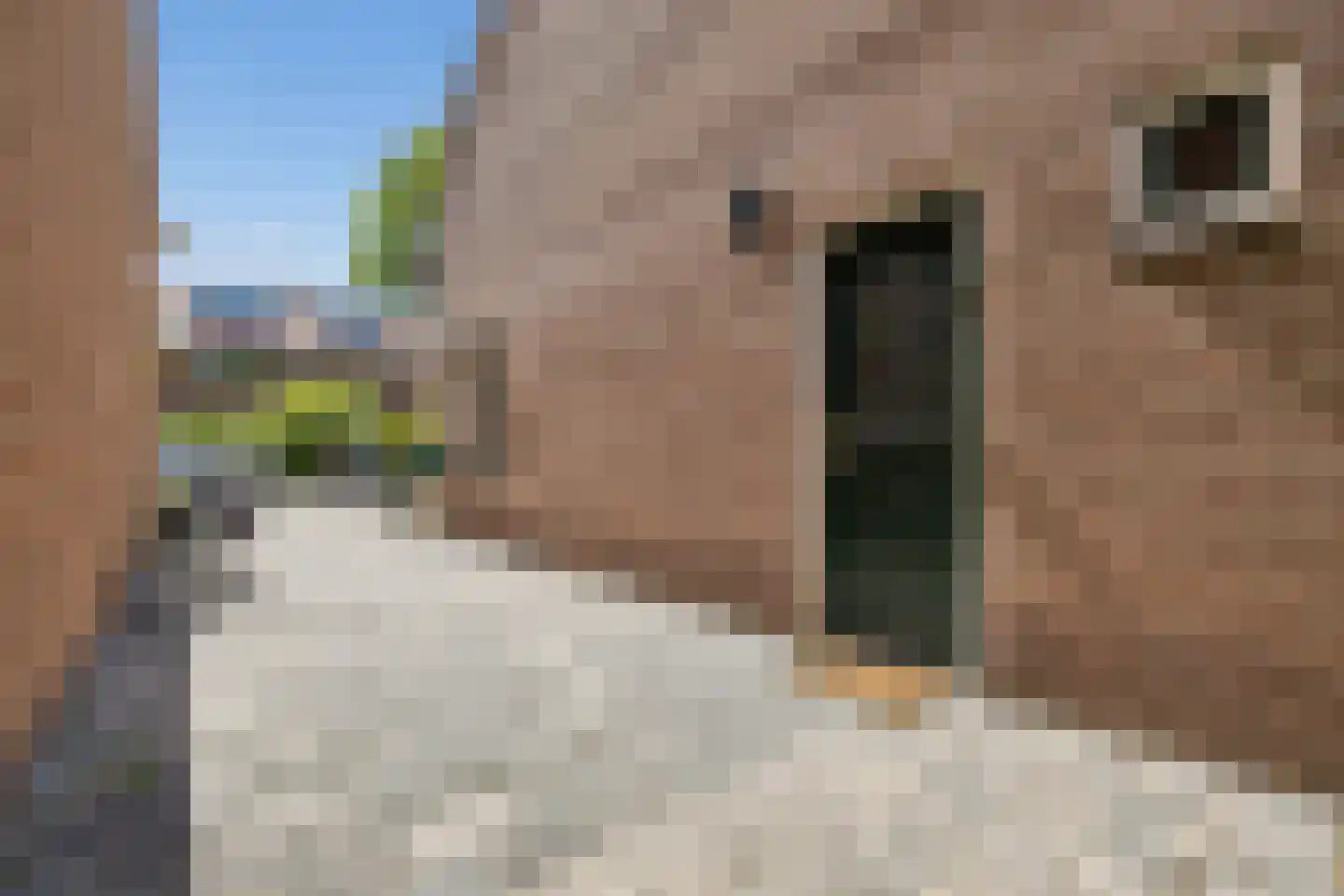 Oude Arnhemseweg 154 Zeist thumbnail 6