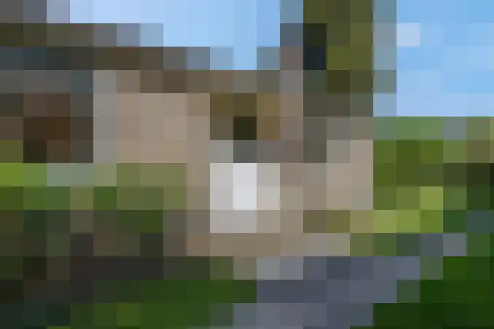 Oude Arnhemseweg 23 Ede thumbnail 38