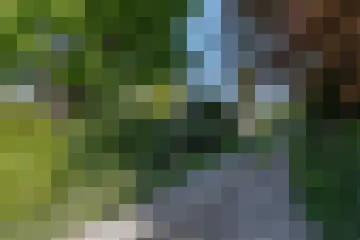 Oude Arnhemseweg 23 Ede thumbnail 41