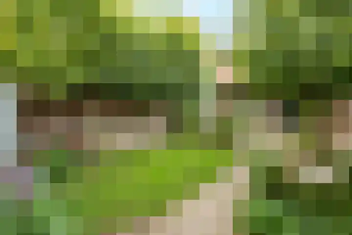 Oude Arnhemseweg 27 Zeist thumbnail 20
