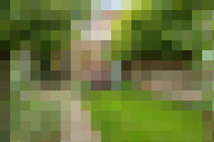Oude Arnhemseweg 27 Zeist thumbnail 23