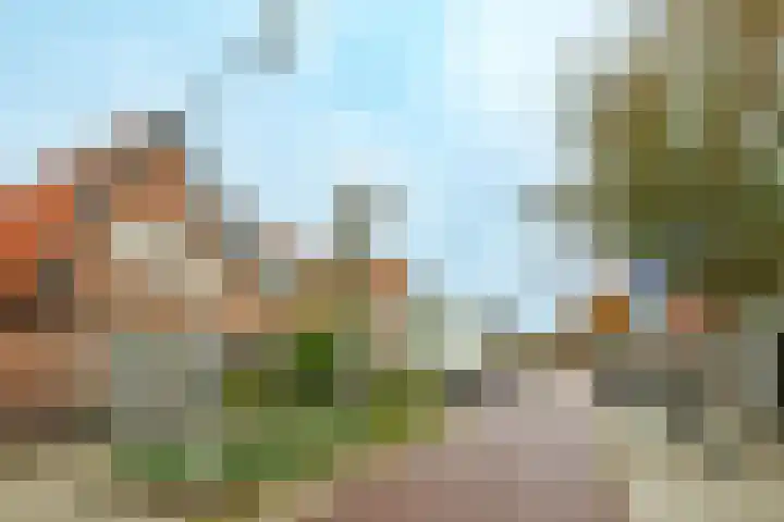 Oude Arnhemseweg 27 Zeist thumbnail 26