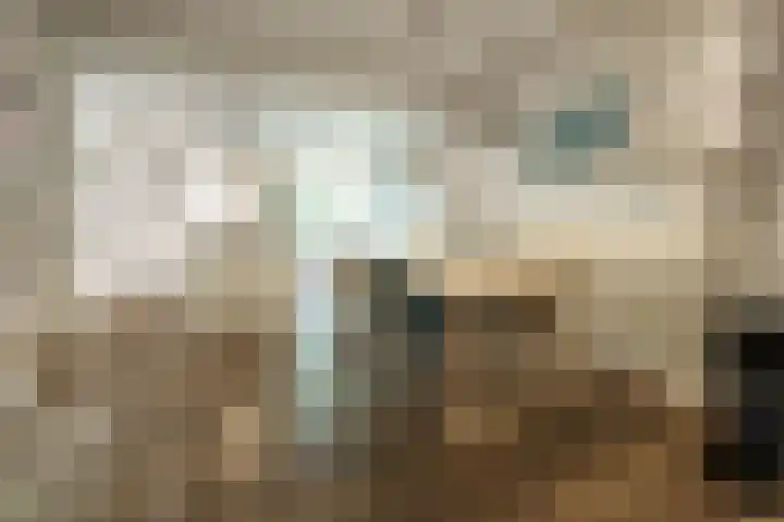 Oude Arnhemseweg 27 Zeist thumbnail 6