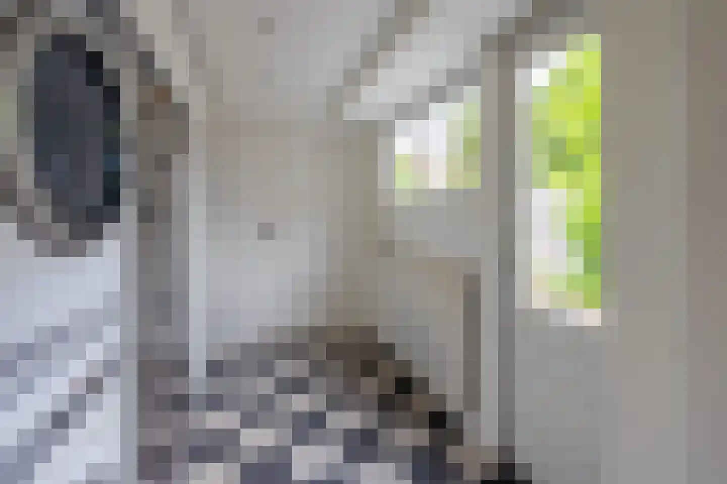 Oude Arnhemseweg 291 Zeist thumbnail 16