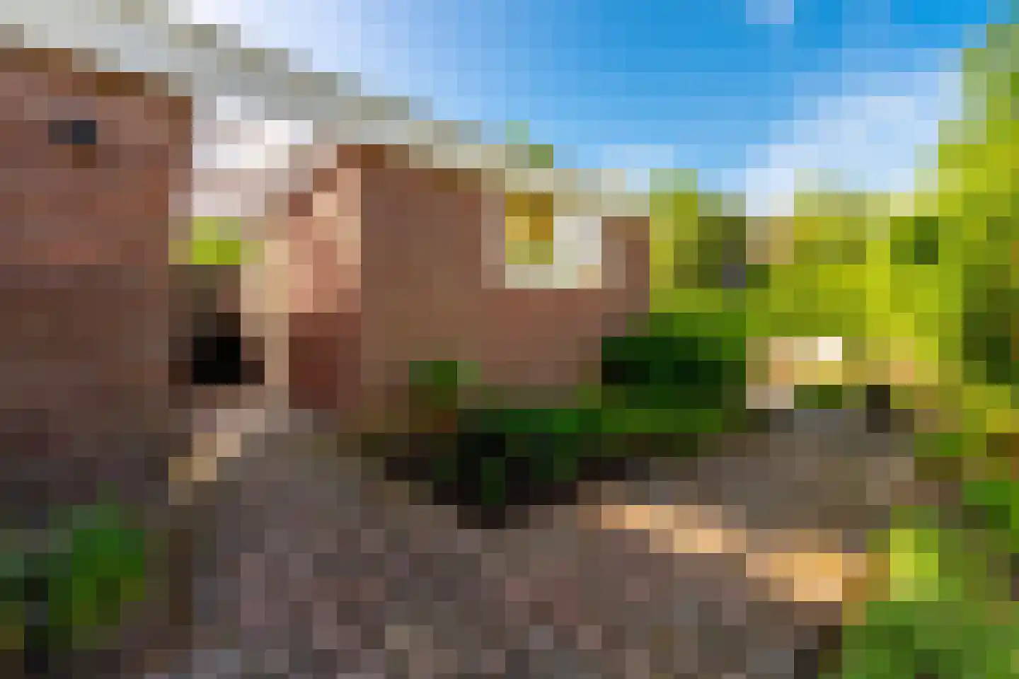 Oude Arnhemseweg 291 Zeist thumbnail 37