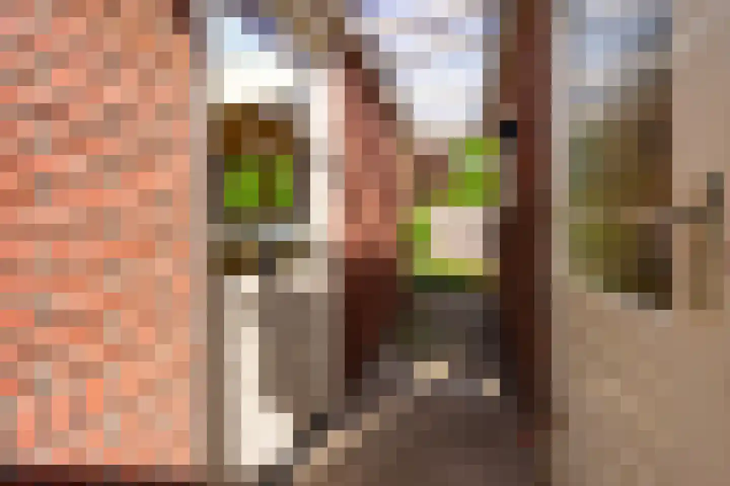 Oude Arnhemseweg 291 Zeist thumbnail 38