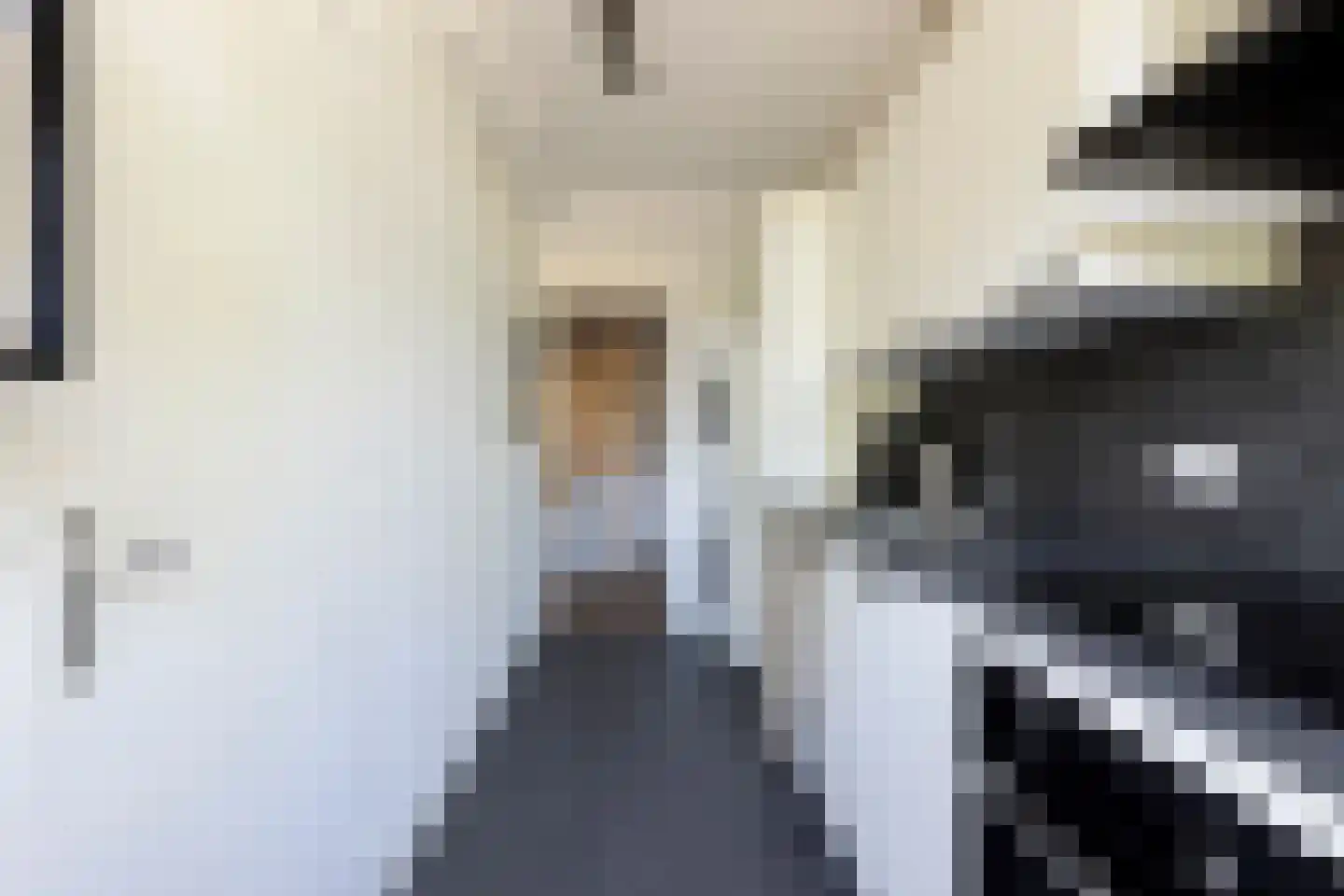 Oude Arnhemseweg 32 Ede thumbnail 25
