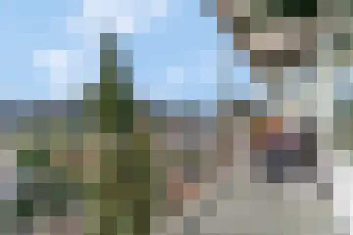 Oude Arnhemseweg 34 Ede thumbnail 13