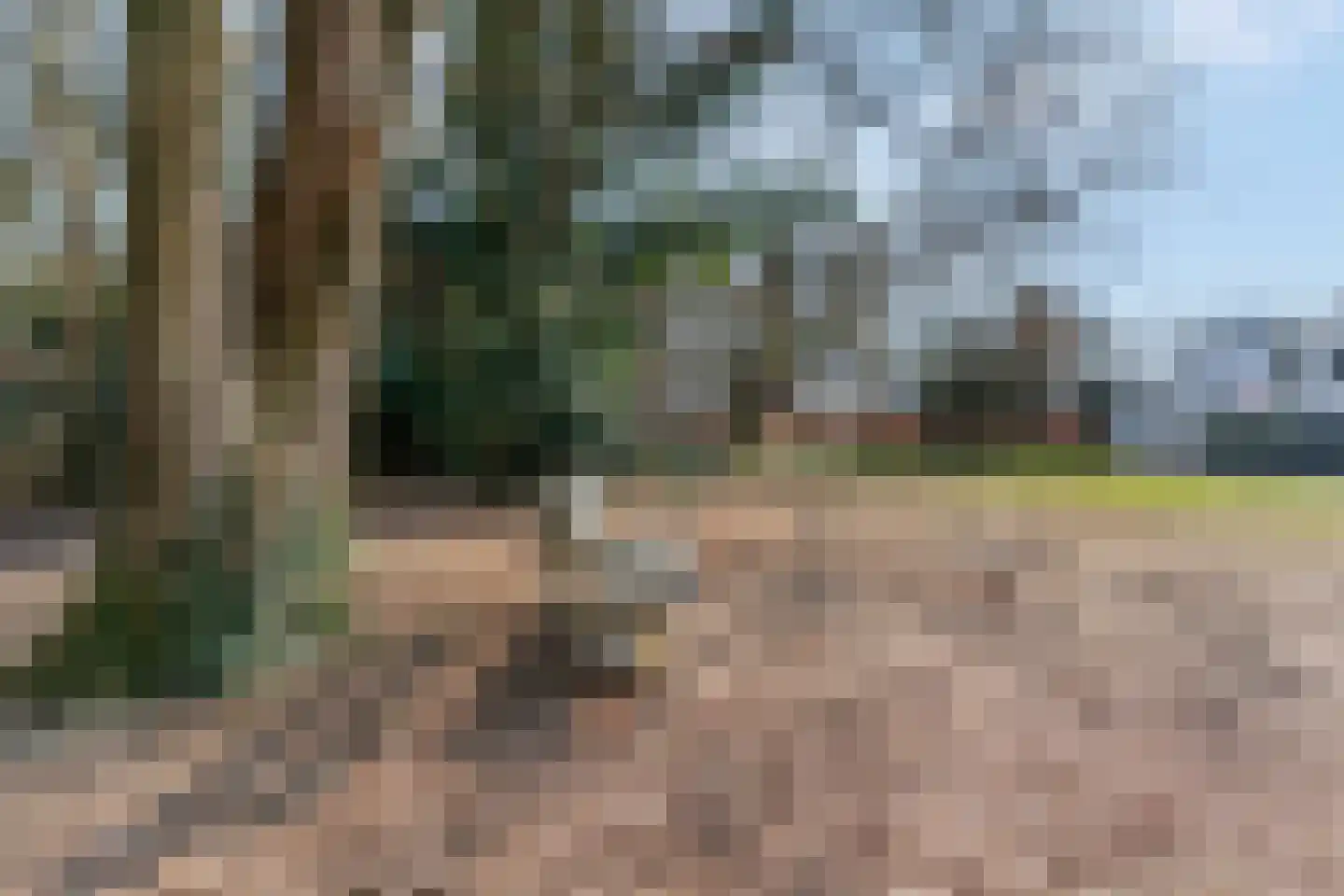 Oude Arnhemseweg 34 Ede thumbnail 46