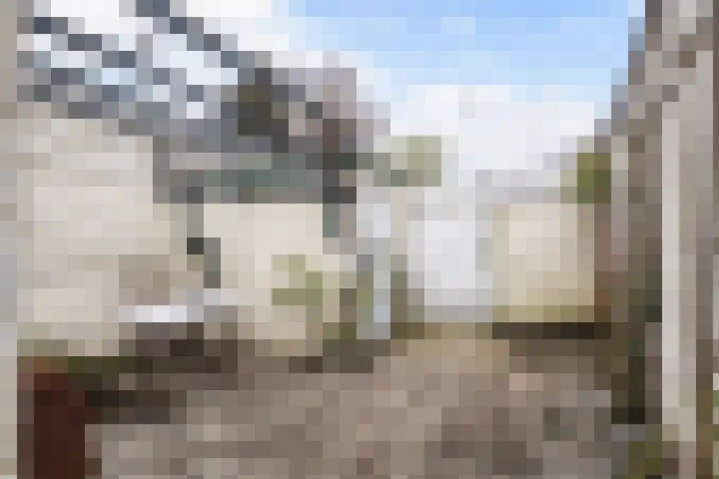 Oude Arnhemseweg 34 Zeist thumbnail 13