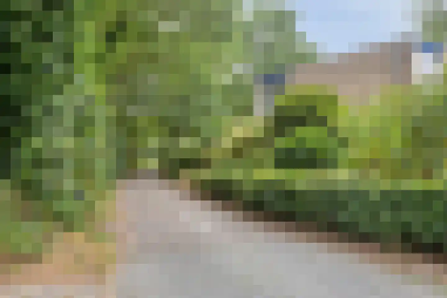 Oude Arnhemseweg 38 Ede thumbnail 25