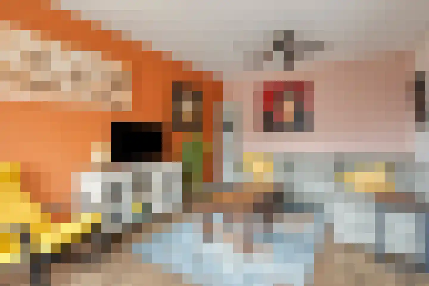 Oude Arnhemseweg 38 Ede thumbnail 7