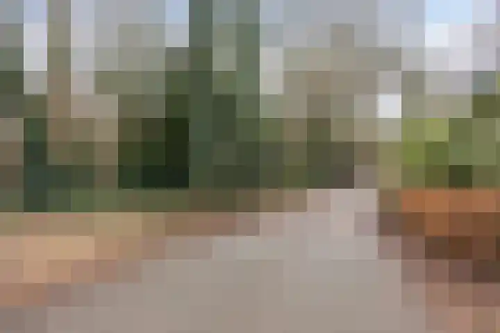 Oude Arnhemseweg 40 Ede thumbnail 31