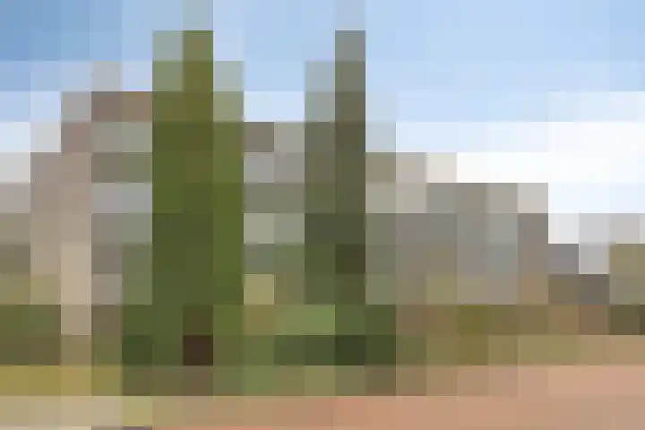 Oude Arnhemseweg 40 Ede thumbnail 32