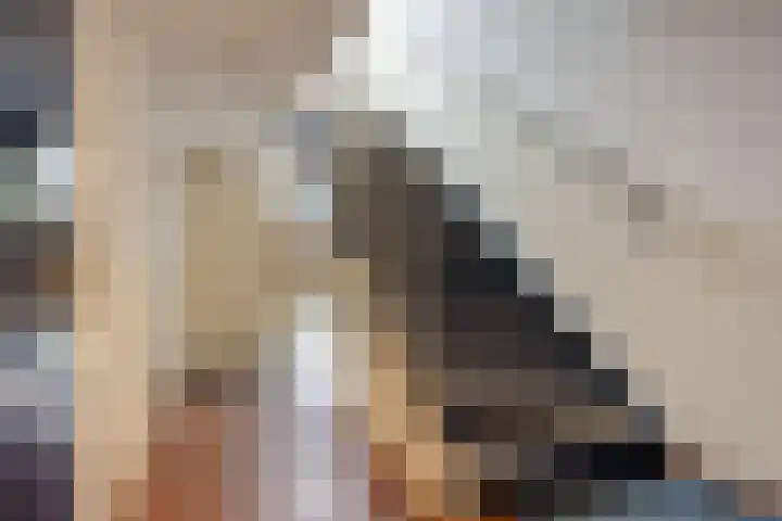 Oude Arnhemseweg 40 Ede thumbnail 8