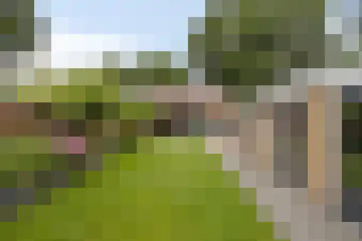 Oude Arnhemseweg 43 Lunteren thumbnail 41