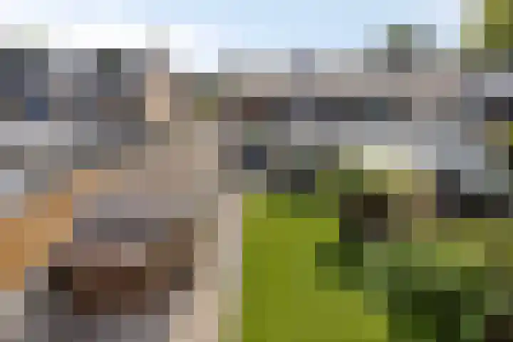 Oude Arnhemseweg 43 Lunteren thumbnail 47