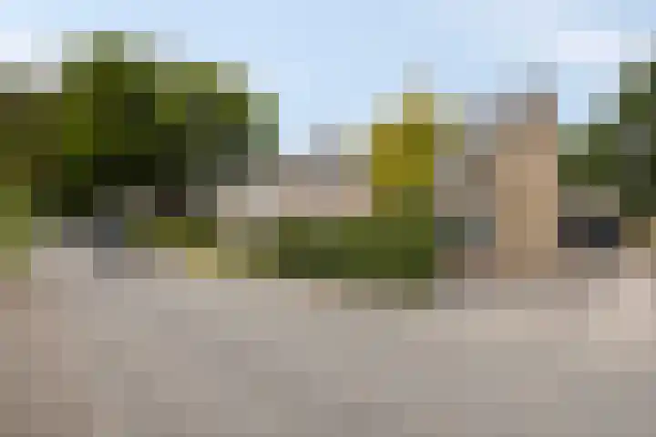 Oude Arnhemseweg 43 Lunteren thumbnail 5