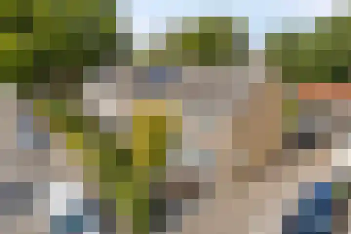 Oude Arnhemseweg 43 Lunteren thumbnail 50