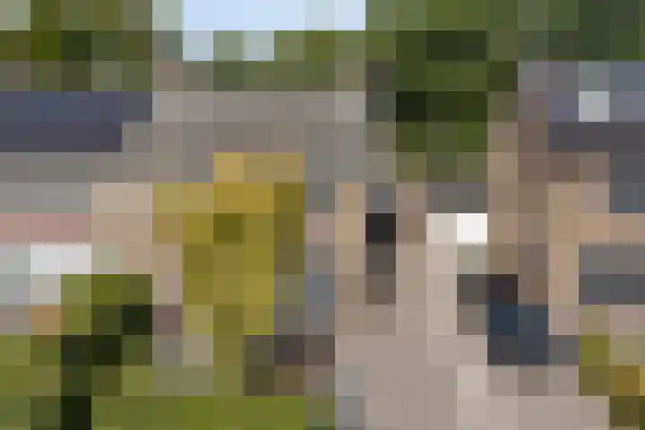 Oude Arnhemseweg 43 Lunteren thumbnail 51