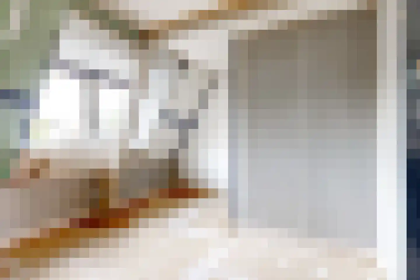 Oude Arnhemseweg 60 Zeist thumbnail 18
