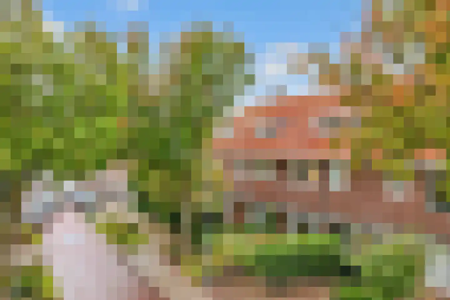 Oude Arnhemseweg 65 A Zeist thumbnail 30