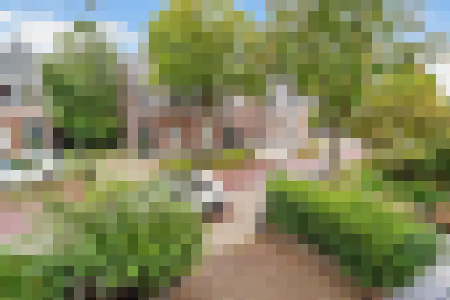 Oude Arnhemseweg 65 A Zeist thumbnail 32