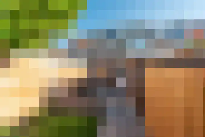 Oude Arnhemseweg 65 Zeist thumbnail 25