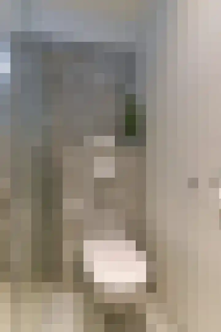 Oude Arnhemseweg 65 Zeist thumbnail 34