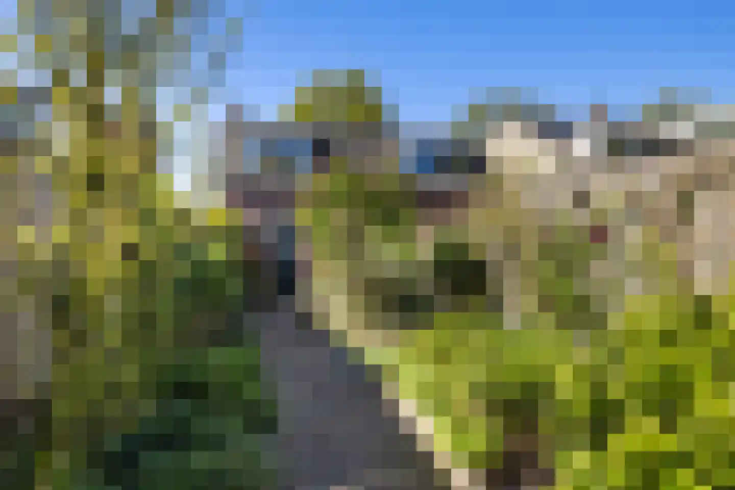 Oude Arnhemseweg 70 Zeist thumbnail 26