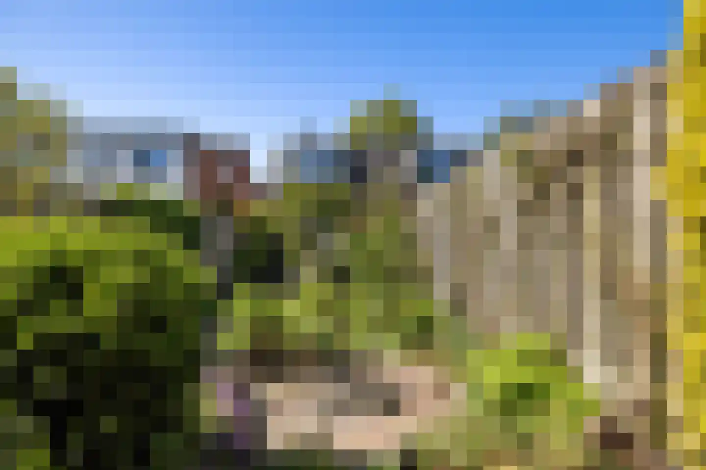 Oude Arnhemseweg 70 Zeist thumbnail 28