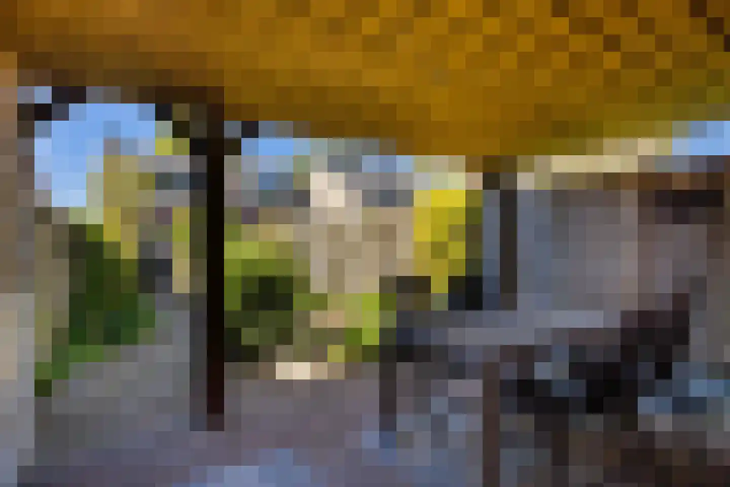 Oude Arnhemseweg 70 Zeist thumbnail 29