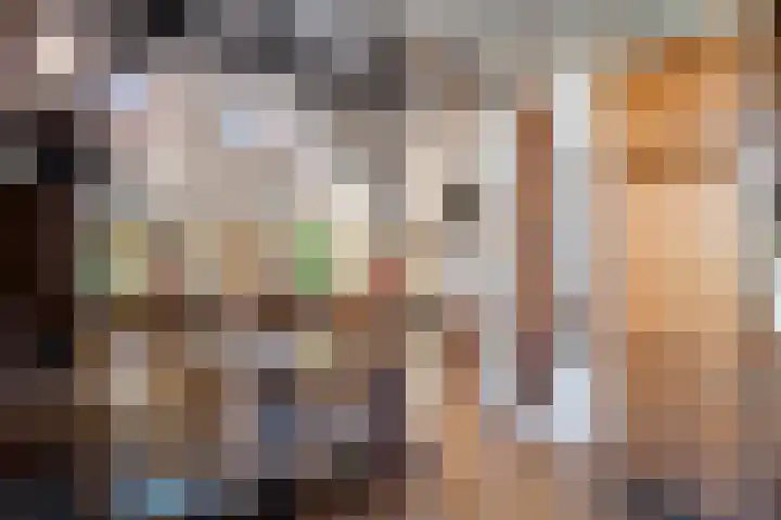 Oude Asserstraat 20 Vries thumbnail 16