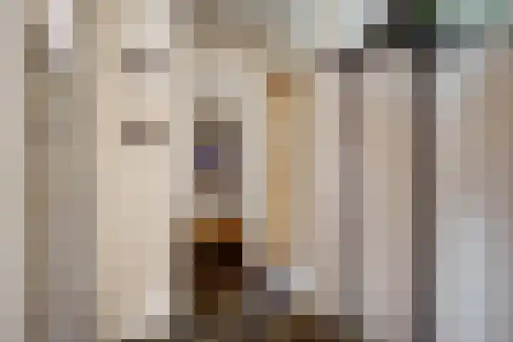 Oude Asserstraat 20 Vries thumbnail 17