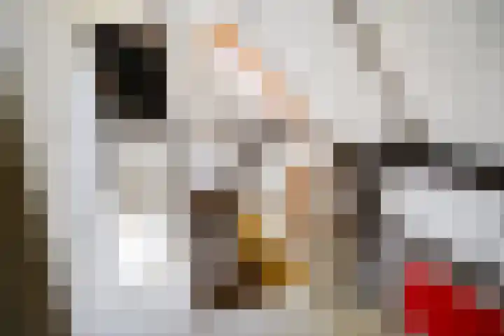 Oude Asserstraat 20 Vries thumbnail 26