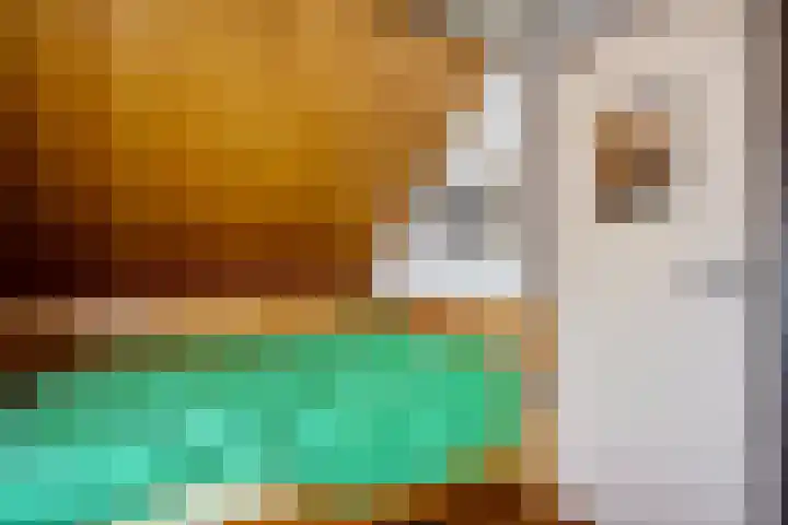 Oude Asserstraat 20 Vries thumbnail 30