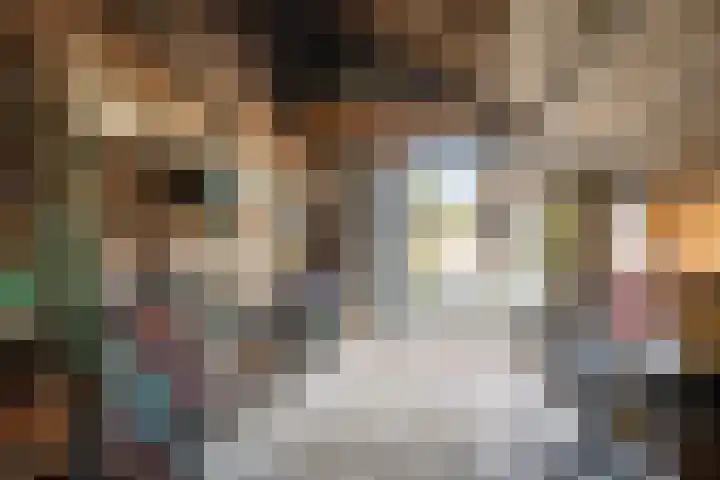 Oude Asserstraat 20 Vries thumbnail 34