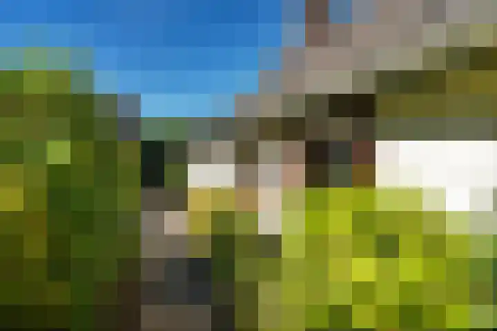 Oude Asserstraat 20 Vries thumbnail 36