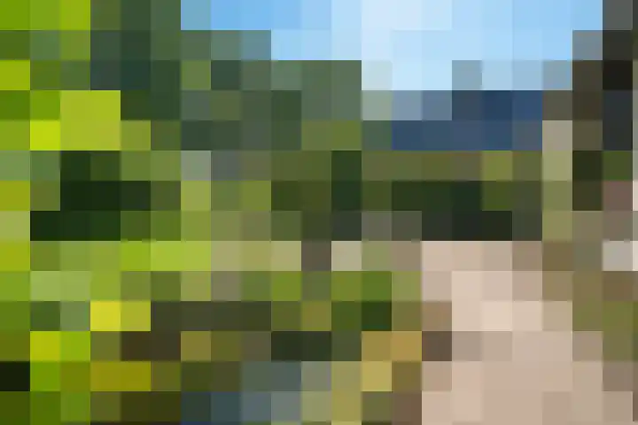 Oude Asserstraat 20 Vries thumbnail 38