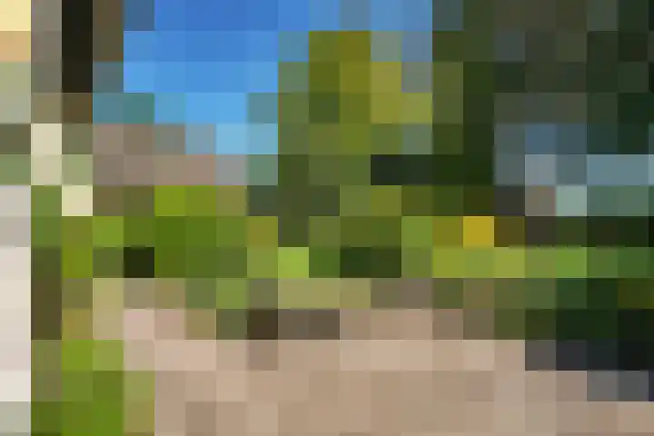 Oude Asserstraat 20 Vries thumbnail 39