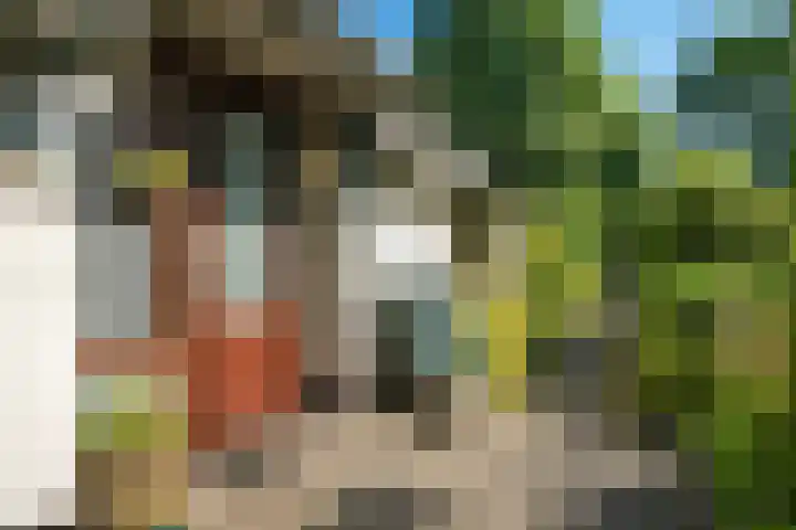 Oude Asserstraat 20 Vries thumbnail 4