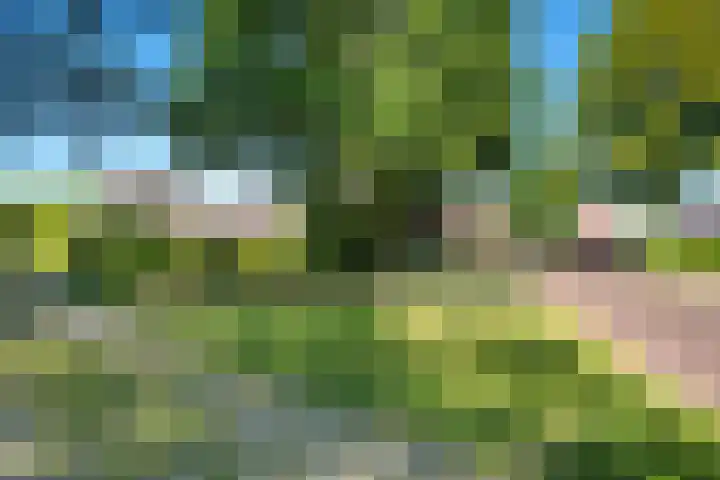 Oude Asserstraat 20 Vries thumbnail 41