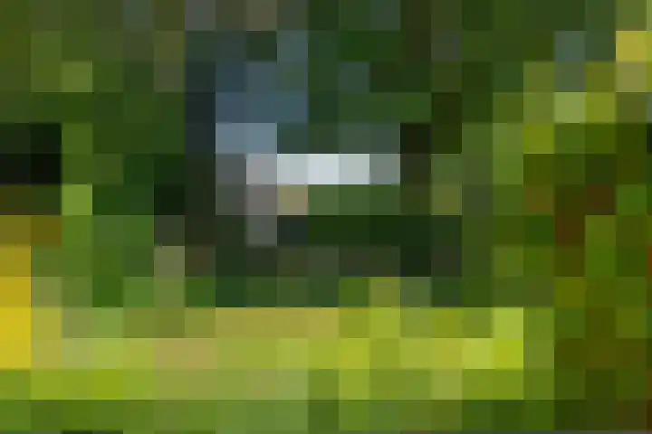 Oude Asserstraat 20 Vries thumbnail 42