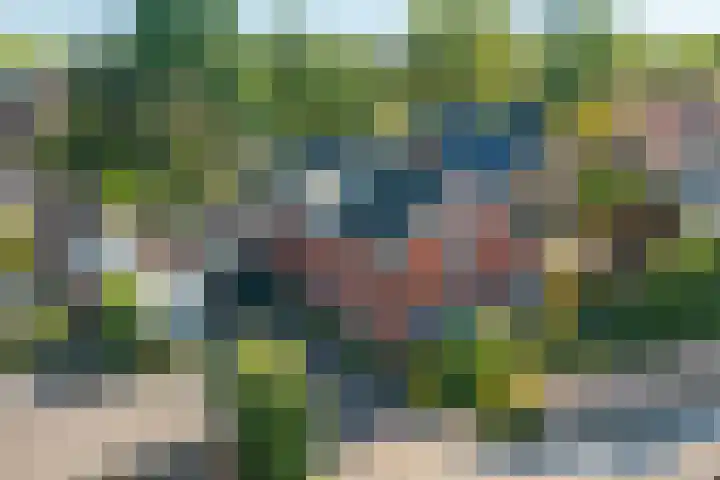 Oude Asserstraat 20 Vries thumbnail 43
