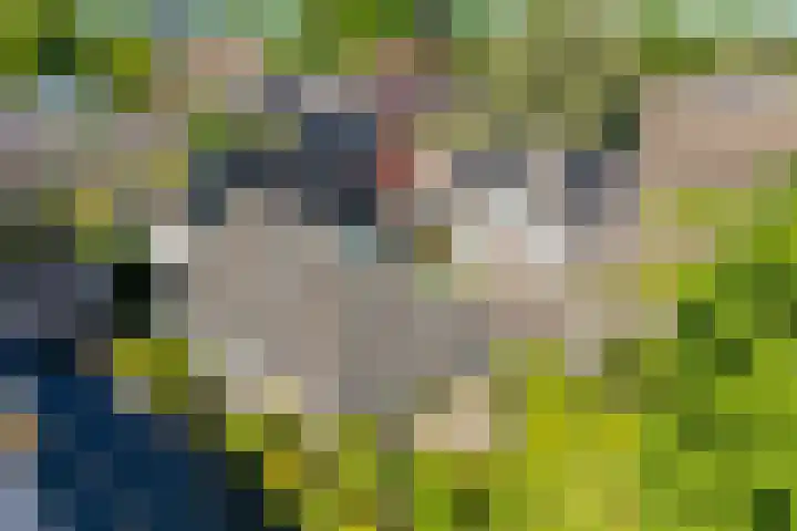 Oude Asserstraat 20 Vries thumbnail 45